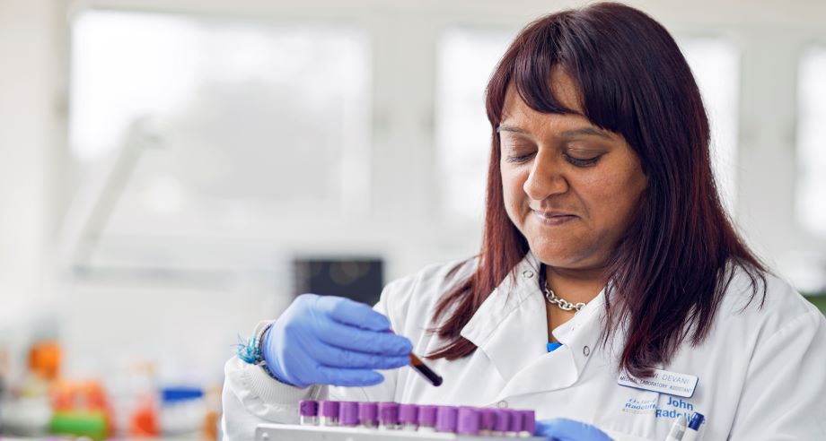 Galerie photo – image 68